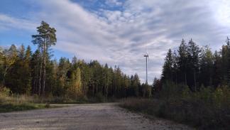 Wiederkehrende Prüfung